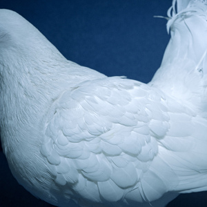 亚洲女人淫淫浪网
