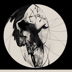 亚洲女人淫淫浪网
